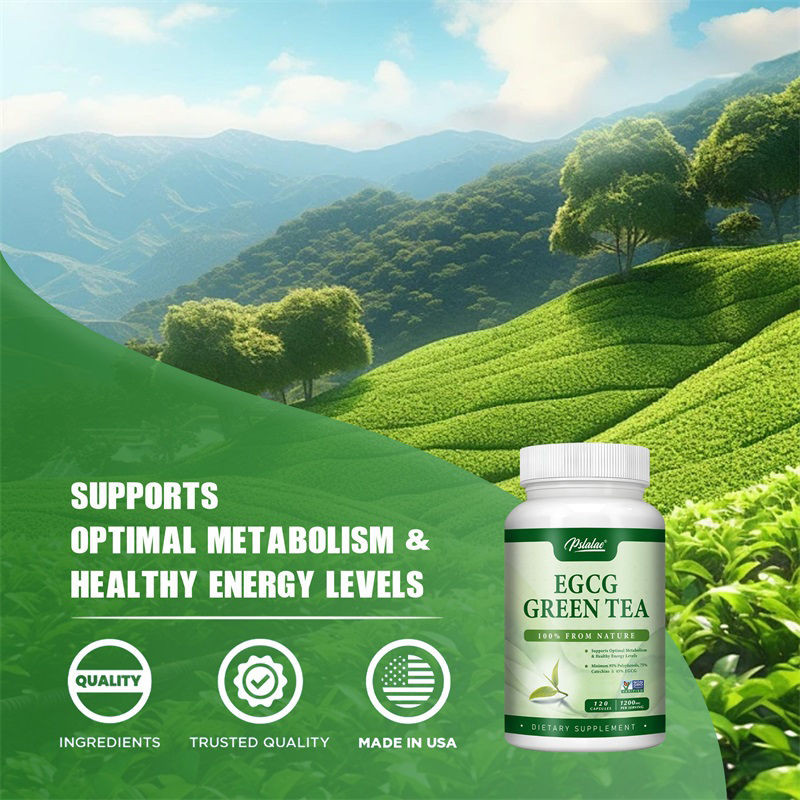 EGCG Green Tea Extract - Boost - Green Tea Extract Fat recension och pris