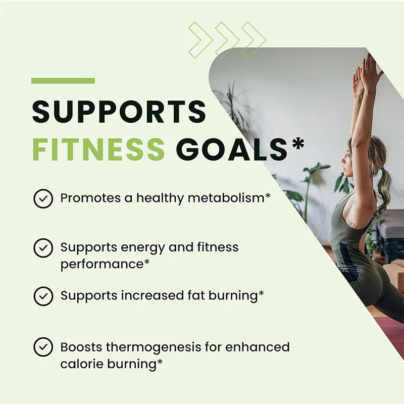 Green Tea Fat Burner - Support - Green Tea Extract Fat recension och pris